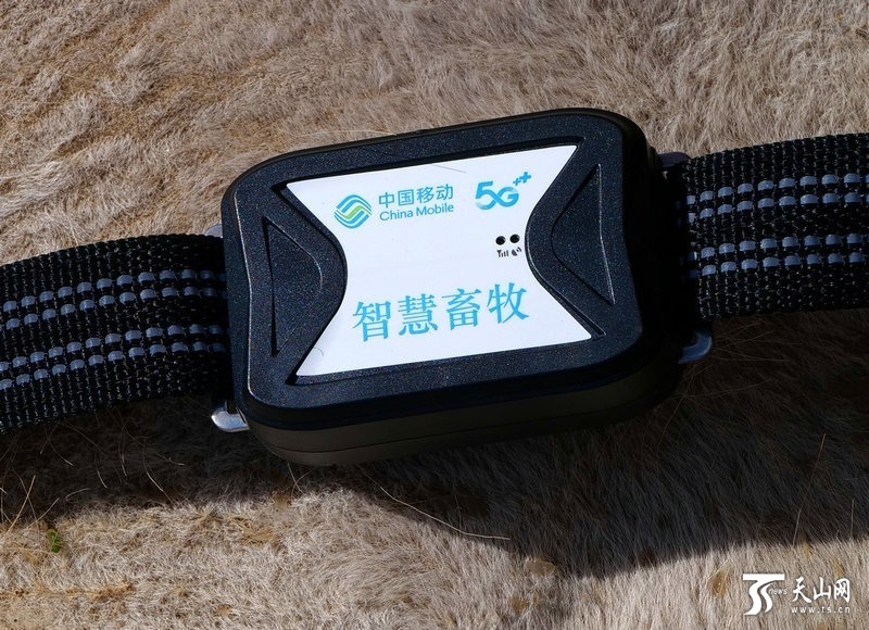我们的潮生活现代“话”新疆丨北斗放牧！一部手机在家全搞定(图4)