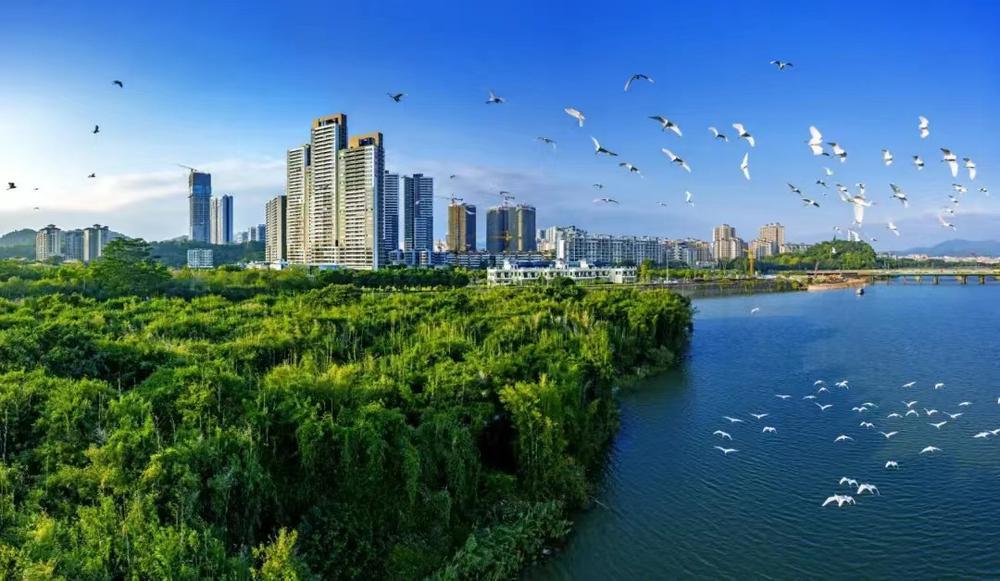 乐在“骑”中！2024湾区自行车挑战赛骑游活动在广州增城启动(图4)