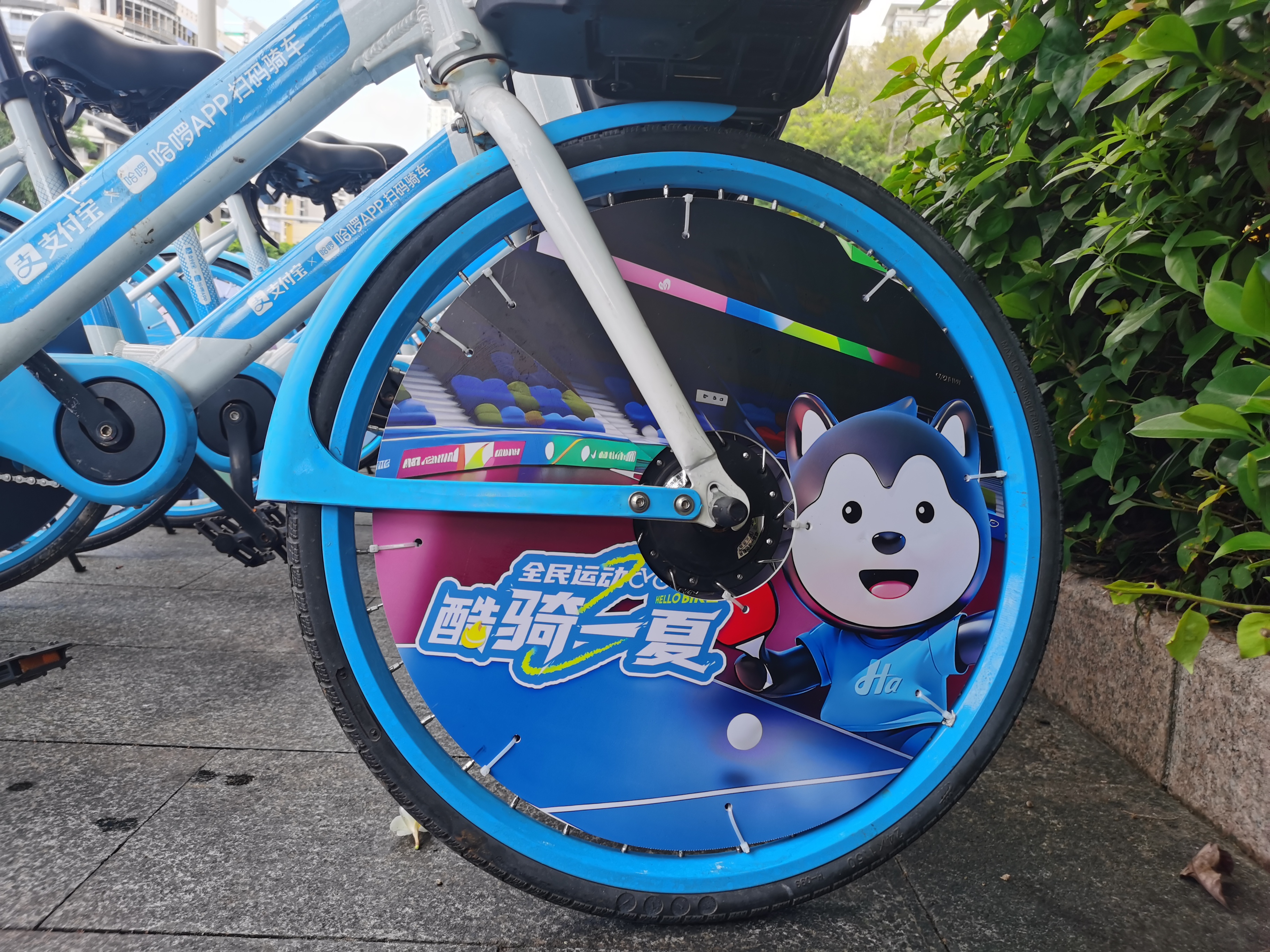 “奥运热”带动全民健身“运动版”共享单车来袭(图1)