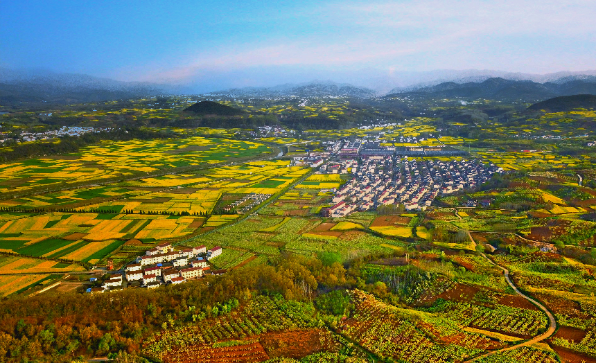 三秦四季汉中有约2024陕西最美油菜花海汉中旅游文化节3月15日启幕(图6)