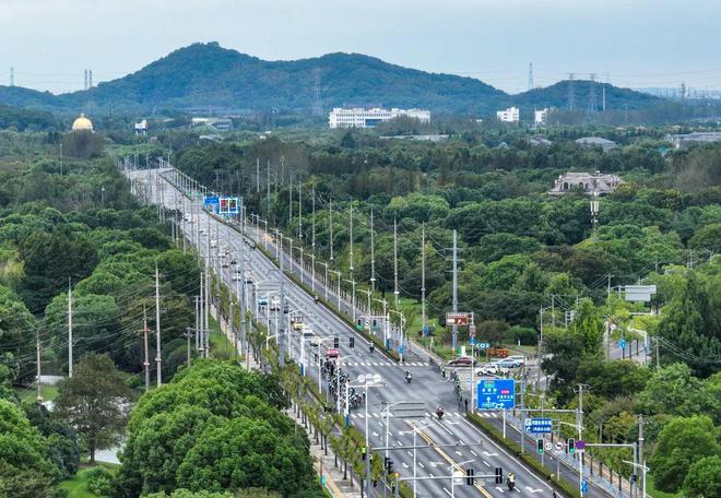 风驰电掣激情鏖战！2024环上海·新城自行车赛青浦—松江赛段精彩上演(图5)