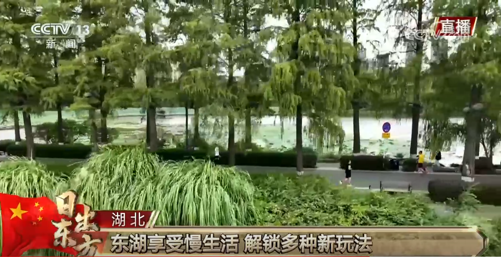假期解锁多种新玩法、新场景各地“小美好”汇成文旅“大流量”(图3)