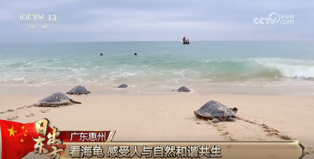 假期解锁多种新玩法、新场景各地“小美好”汇成文旅“大流量”(图7)