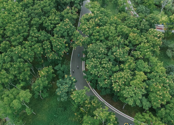 天府骑行绿道“WonderRide·享骑环动”全线开放(图2) 天府骑行绿道“WonderRide·享骑环动”全线开放(图2)