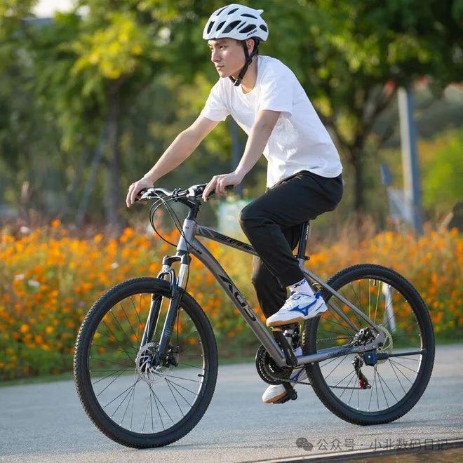 喜德盛和捷安特哪个好？两大自行车品牌对比帮你选对骑行装备(图11)