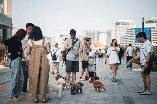 被新兴潮流街区惊艳到上海“阿那亚”来过么?(图10) 被新兴潮流街区惊艳到上海“阿那亚”来过么?(图10)