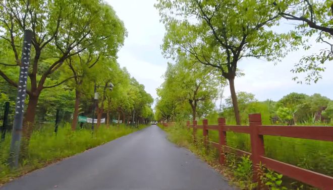 秋高气爽就来闵行这里追风骑行→