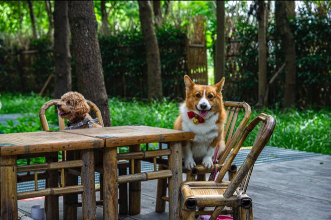 秋高气爽就来闵行这里追风骑行→(图3) 秋高气爽就来闵行这里追风骑行→(图3)