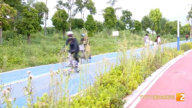 @昆明人风险大！家长一定要注意……(图6)