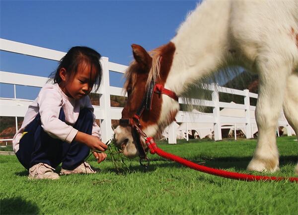体验骑马成为三都旅游新业态(图2)