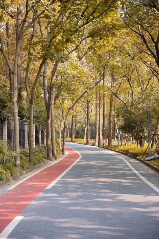 深秋骑游上海市这三条绝美限定路线不可错过(图4)