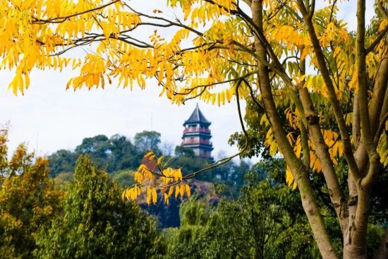 深秋骑游上海市这三条绝美限定路线不可错过(图5)