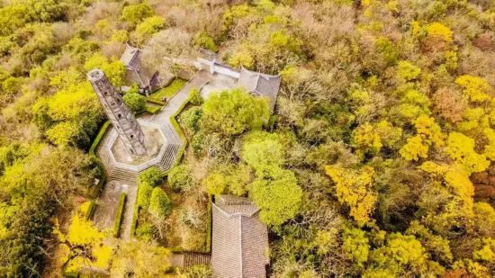 深秋骑游上海市这三条绝美限定路线不可错过(图8)