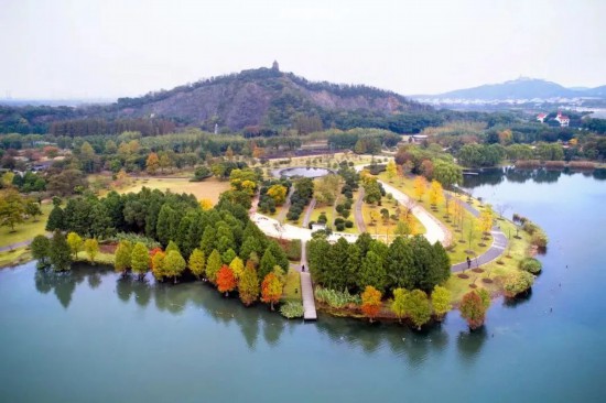 深秋骑游上海市这三条绝美限定路线不可错过(图7)