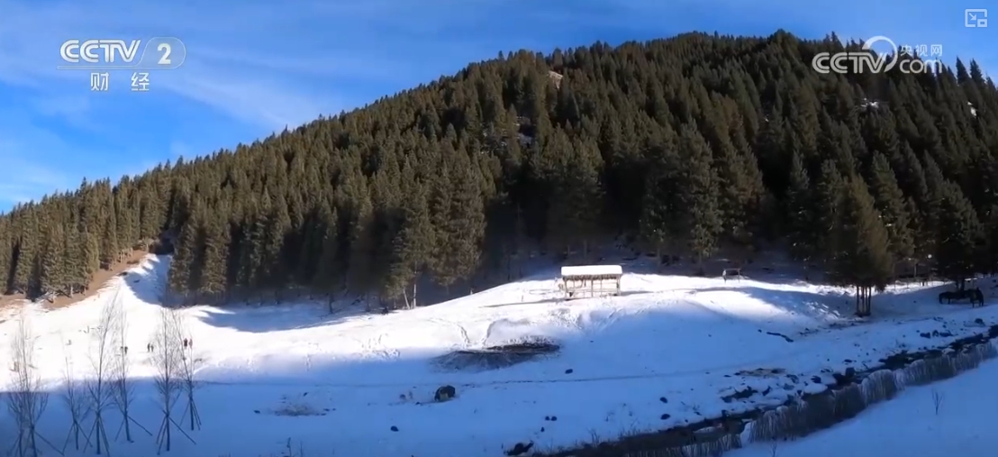 “滑雪+旅游”“滑雪+赛事”美食”……“冷冰雪”助燃“热经济”(图16) “滑雪+旅游”“滑雪+赛事”美食”……“冷冰雪”助燃“热经济”(图16)