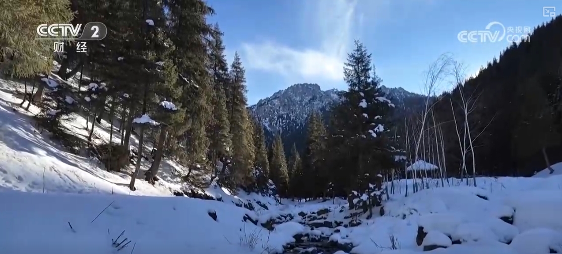 “滑雪+旅游”“滑雪+赛事”美食”……“冷冰雪”助燃“热经济”(图17) “滑雪+旅游”“滑雪+赛事”美食”……“冷冰雪”助燃“热经济”(图17)