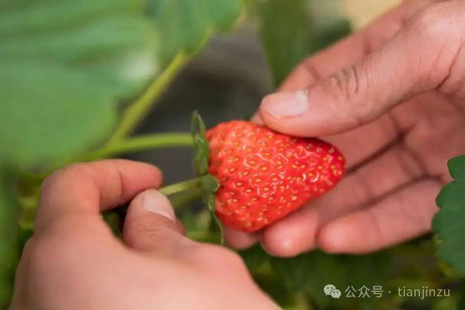 风景超美!天津这个区推出多条骑行路线!(图7) 风景超美!天津这个区推出多条骑行路线!(图7)