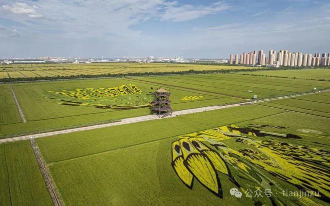 风景超美!天津这个区推出多条骑行路线!(图4) 风景超美!天津这个区推出多条骑行路线!(图4)