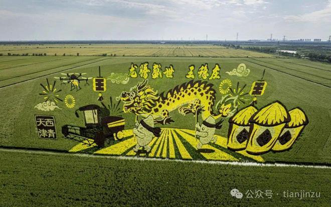 风景超美!天津这个区推出多条骑行路线!(图2) 风景超美!天津这个区推出多条骑行路线!(图2)