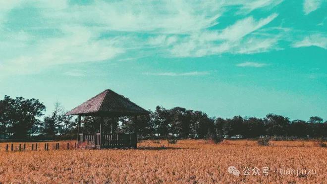 风景超美!天津这个区推出多条骑行路线!(图5) 风景超美!天津这个区推出多条骑行路线!(图5)