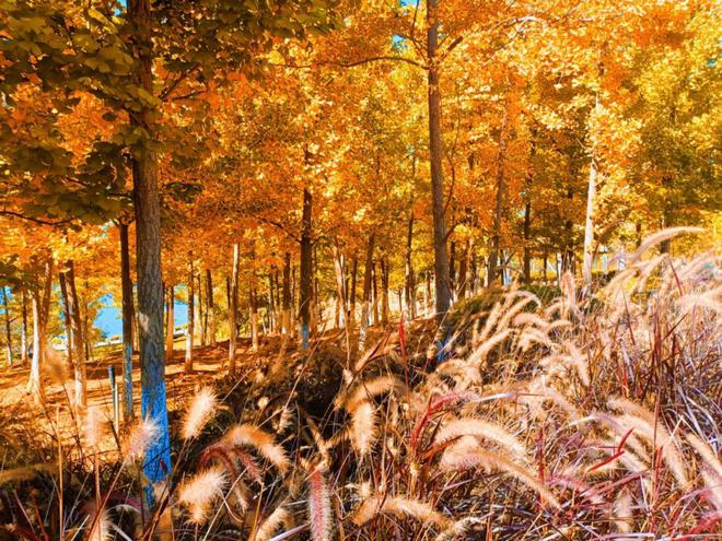 2024年12月14日(星期六）骑行果林水库(图3)