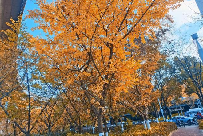 2024年12月14日(星期六）骑行果林水库(图5)