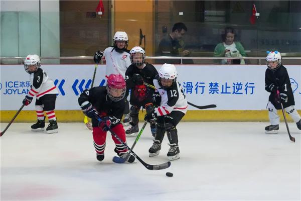 从高原到世界！2024年云南体育大事件盘点（下）(图2)