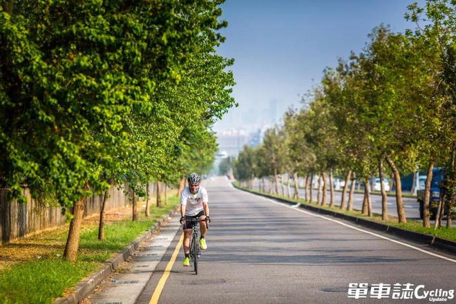 2024单车侵入生活百分比你是哪一种？(图3)