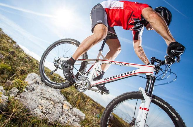 2024进口中国山地自行车品牌排行榜前十名辐轮王土拨鼠第一名(图2)