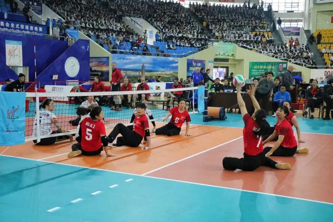 2024年融融的“运动”打卡记录→(图2)