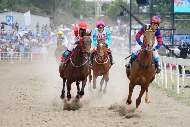 2024年融融的“运动”打卡记录→(图13)