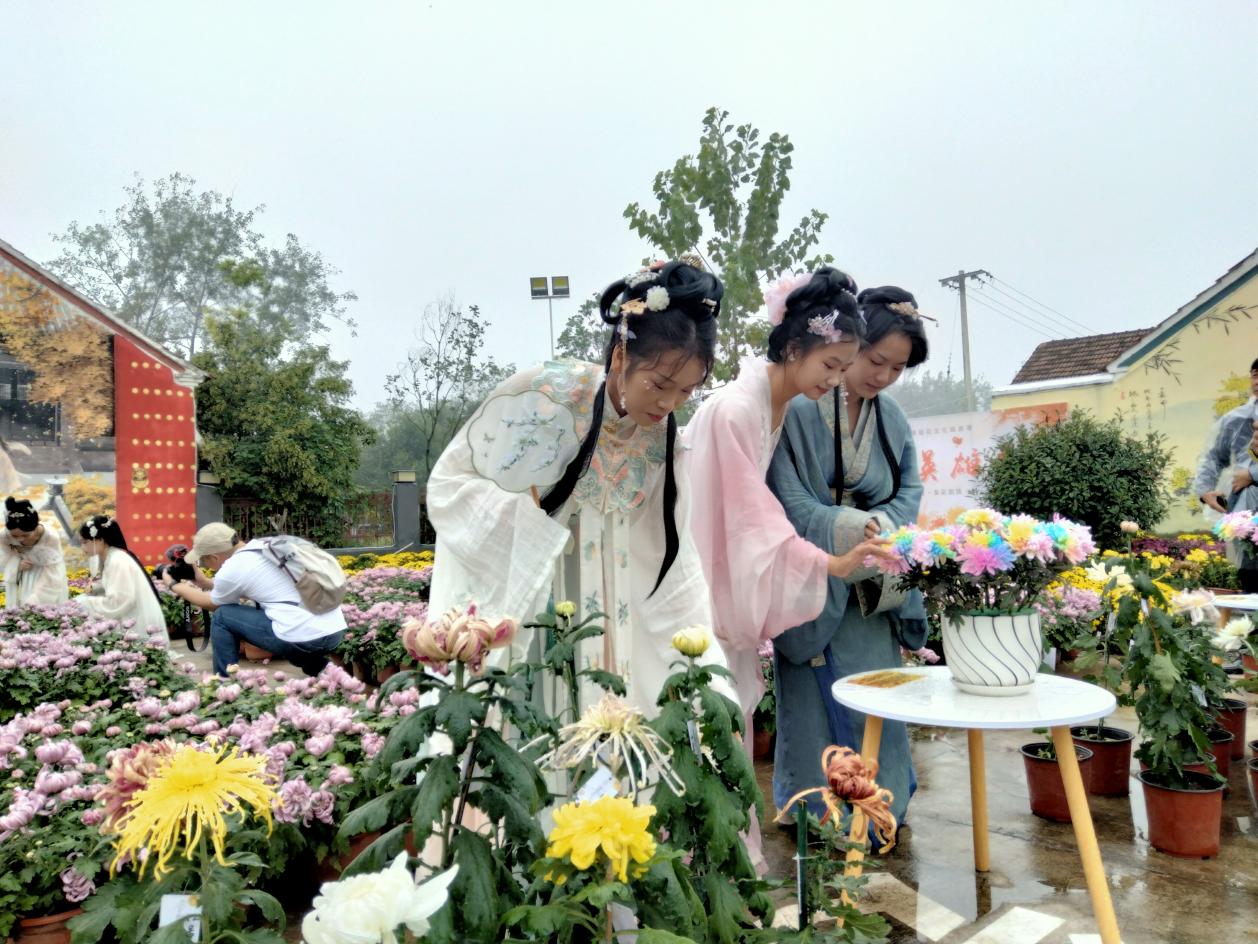 安徽固镇:且以诗意共远方打造文旅新高地(图2) 安徽固镇:且以诗意共远方打造文旅新高地(图2)