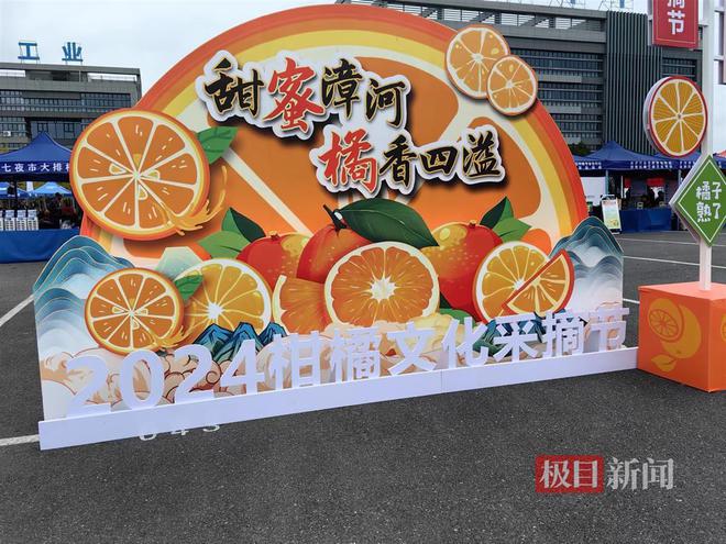 书写“骑”迹！2024环漳河国际公路自行车赛圆满落幕(图4)