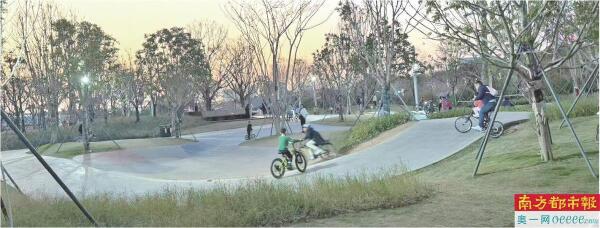 “既是游乐场又是自然课堂”孩子们在骑行中认识湿地植物