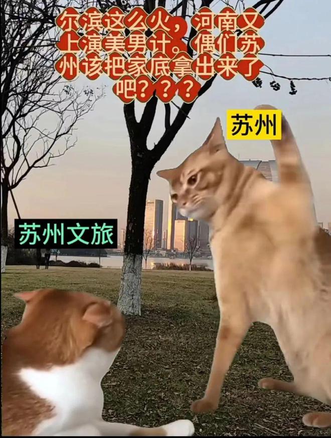 “美男计”、王一博……河南文旅凌晨2点还在“卷”但“听劝”之后呢？(图7)