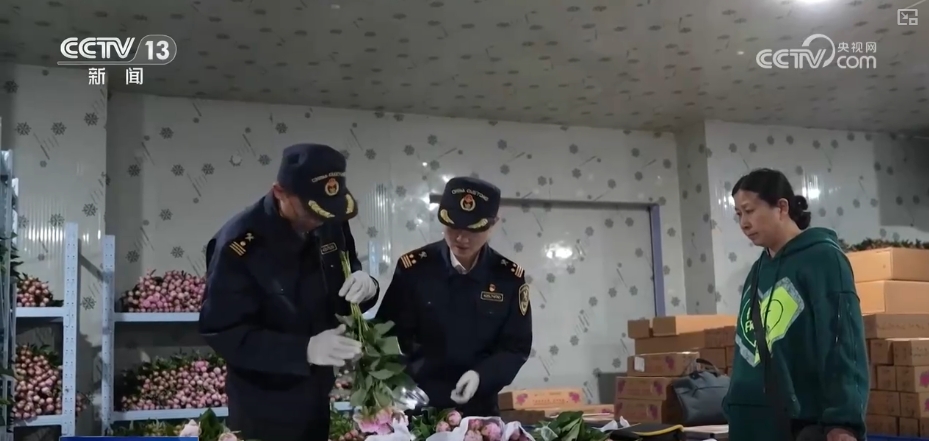 鲜花争“鲜”绽放带暖美丽经济“赏花+”扮“靓”经济新增长点(图7)