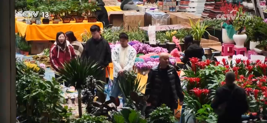 鲜花争“鲜”绽放带暖美丽经济“赏花+”扮“靓”经济新增长点(图8)