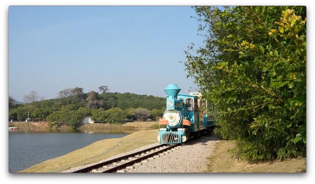 花都区“花漾年华”：“骑”遇花都绿美之约(图6)