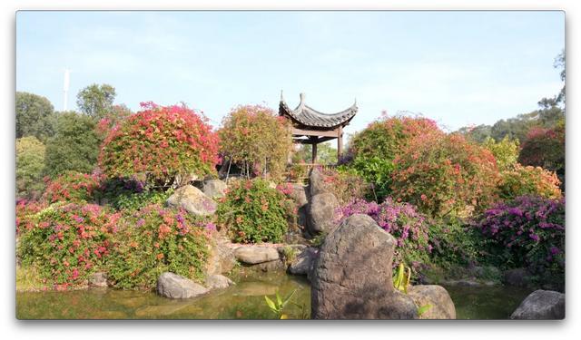 花都区“花漾年华”：“骑”遇花都绿美之约(图5)