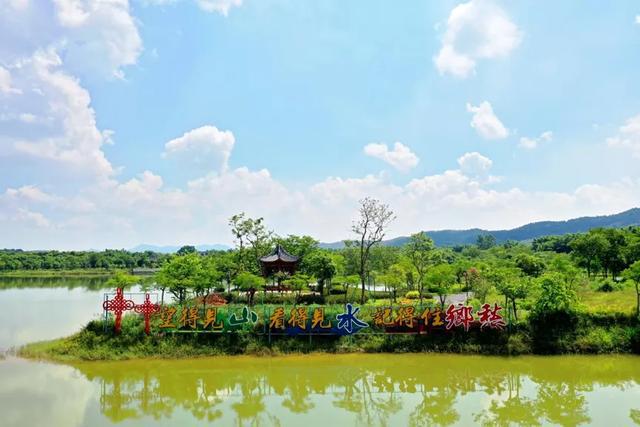 花都区“花漾年华”：“骑”遇花都绿美之约(图8)