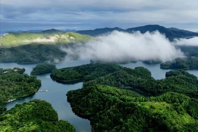 花都区“花漾年华”：“骑”遇花都绿美之约(图9)