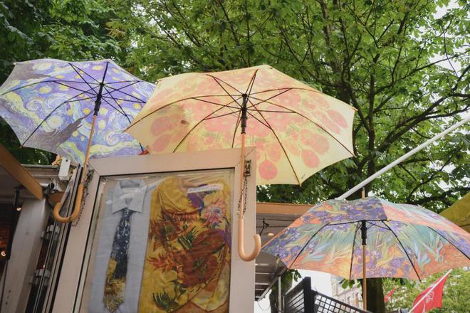 探秘荷兰阿姆斯特丹骑行穿梭邂逅梵高艺术的浪漫奇幻之旅(图2)