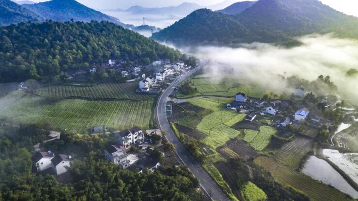 你好我叫义安！这是我的新简历(图7)