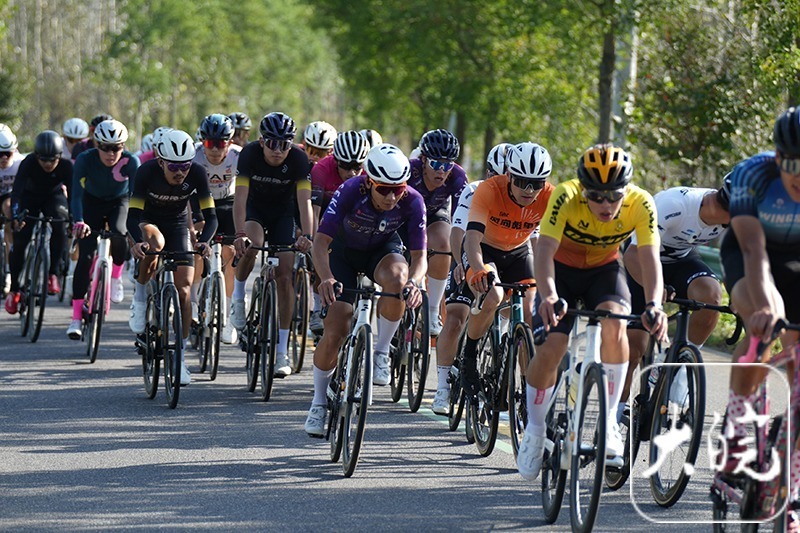 2024“中国•皖美山水”骑行赛全椒开赛890名多国选手竞逐51公里赛道(图3)