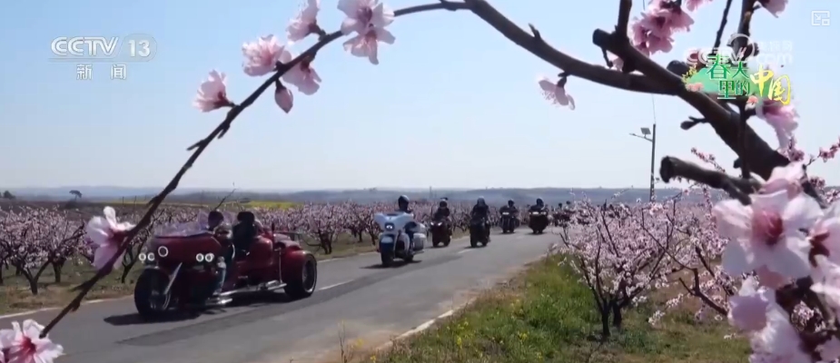 做旺“美丽经济”传统农作物“蝶变”成农文旅融合“黄金产业”(图3)