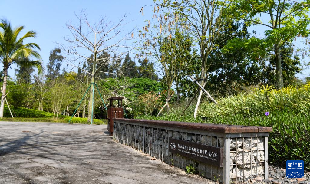 海南博鳌：为全球“零碳标准”提供“中国答案”(图7)