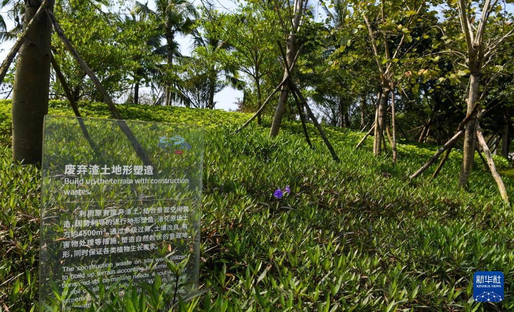 海南博鳌：为全球“零碳标准”提供“中国答案”(图6)