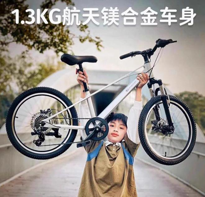 儿童自行车品牌盘点：谁才是最佳选择？(图12)