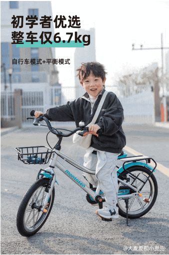 儿童自行车品牌盘点：谁才是最佳选择？(图9)