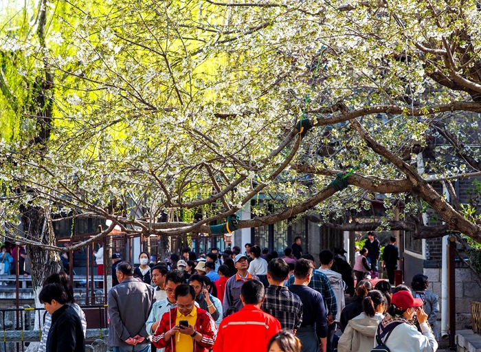 “盛开”起来的春日经济_泉城新闻_大众网